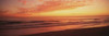 Daytona Beach  Florida Poster Print by Panoramic Images (37 x 12) - Item # PPI90106