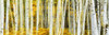 http://c328301.r1.cf1.rackcdn.com/PPI163939S.jpg