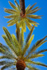 http://c328301.r1.cf1.rackcdn.com/PDDEU27WBI1129.jpg