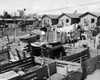 Pigpen in front of houses in the village  Shreveport  Louisiana  USA Poster Print - Item # VARSAL2555529