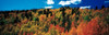 Fall Durango  Colorado Poster Print by Panoramic Images (38 x 12) - Item # PPI23430