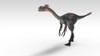 Gigantoraptor dinosaur, white background Poster Print - Item # VARPSTKVA600738P