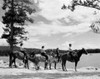 Group of people on horses standing at the edge of water Poster Print - Item # VARSAL255419239