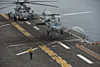 An MH-60S Sea Hawk lands aboard the amphibious assault ship USS Makin Island Poster Print - Item # VARPSTSTK104808M
