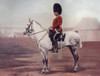 Sergeant Major Of The 2Nd Dragoons, Royal Scots Greys In The Late 19Th Century. From The Book South Africa And The Transvaal War, Volume 1 By Louis Creswicke, Published 1900. PosterPrint - Item # VARDPI1872821