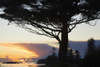 Parknasilla, County Kerry, Ireland; A Sunset Over Kenmare Bay PosterPrint - Item # VARDPI1876023