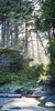 http://c328301.r1.cf1.rackcdn.com/DPI12277623LARGE.jpg