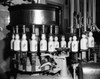 Bottles on a conveyor belt in a bottling plant Poster Print - Item # VARSAL25537860