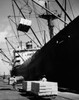 Cargo containers being loaded into an industrial ship  Tampa  Florida  USA Poster Print - Item # VARSAL25526478