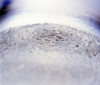 Close up of churning lavender water Poster Print by Panoramic Images (24 x 21) - Item # PPI118018