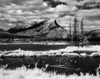 Canada  Alberta  Banff National Park Poster Print - Item # VARSAL255424163