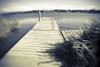 A Dock Juts Out From Shore In A City Park In Homer Alaska PosterPrint - Item # VARDPI2163806