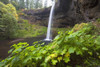 South Silver Falls, Silver Falls State Park, Oregon, Usa PosterPrint - Item # VARDPI1868383