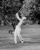 Man playing golf Poster Print - Item # VARSAL255422408