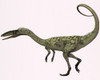 Coelophysis is the earliest known dinosaur. It was a carnivorous theropod that lived in North America during the Triassic Period Poster Print - Item # VARPSTCFR200279P
