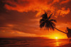 Hawaii, Maui, A Beautiful Sunset At Olowalu PosterPrint - Item # VARDPI1991419