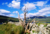 Killary Harbour, Connemara, Co Galway, Ireland; Ireland's Only Fjord PosterPrint - Item # VARDPI1808070