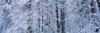 http://c328301.r1.cf1.rackcdn.com/PPI38913S.jpg