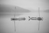 Two sailboats reflected in a calm, misty lake; Ontario, Canada PosterPrint - Item # VARDPI12256013