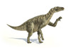 Iguanodon dinosaur in dynamic posture, on white background with drop shadow Poster Print - Item # VARPSTVET600042P