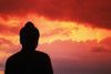 Indonesia, Java, Borobudur, Temple Relic, Buddhist Statue At Sunset, Silhouetted By Pink Sky PosterPrint - Item # VARDPI1988649