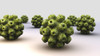 Conceptual image of polyomavirus Poster Print - Item # VARPSTSTK700775H