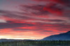 http://c328301.r1.cf1.rackcdn.com/DPI2041979.jpg