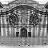 Gate of a palace  Buckingham Palace  London  England Poster Print - Item # VARSAL25528341