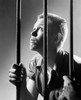 Male prisoner holding prison bars in a prison cell Poster Print - Item # VARSAL2557188