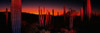 Organ Pipe National Park AZ Poster Print by Panoramic Images (37 x 12) - Item # PPI32145