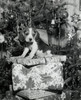 Close-up of a beagle sitting on a stack of Christmas presents Poster Print - Item # VARSAL25512751