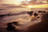 USA, Sunset over beach landscape; Hawaii Islands PosterPrint - Item # VARDPI1984120