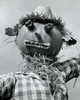 Close-up of a scarecrow Poster Print - Item # VARSAL25535836