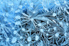 http://c328301.r1.cf1.rackcdn.com/DPI2069353.jpg
