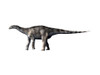 Dicraeosaurus dinosaur, white background Poster Print - Item # VARPSTNBT600091P