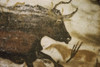 Great Black Bull  Prehistoric Art  Lascaux Caves  France Poster Print - Item # VARSAL9001124