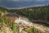 Sunlight Illuminates The Trout River Flows Over Coral Falls; Northwest Territories, Canada PosterPrint - Item # VARDPI2353451