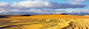 Sand dunes in a desert, Great Sand Dunes National Park and Preserve, Colorado, USA Poster Print - Item # VARPPI168086