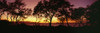 USA, Hawaii, Molokini Island In Distance; Maui, Trees Silhouetted On West Maui Shoreline PosterPrint - Item # VARDPI1976447
