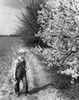 Boy standing in a field and holding a stick Poster Print - Item # VARSAL25512802