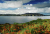 Inishowen Peninsula, Co Donegal, Ireland; View From The Shore To The Fanad Peninsula PosterPrint - Item # VARDPI1807338