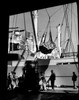 Group of dock workers working on harbor Poster Print - Item # VARSAL25536436