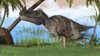 Ceratosaurus hunting in a prehistoric environment Poster Print - Item # VARPSTKVA600200P
