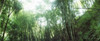 http://c328301.r1.cf1.rackcdn.com/PPI142778S.jpg