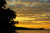 Fiji, Viti Levu, Coral Coast, Orange Sky At Sunrise, Silhouette Of Palm Trees Along The Ocean. PosterPrint - Item # VARDPI1985807