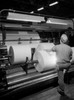 Rear view of a man working in a paper mill Poster Print - Item # VARSAL25535122