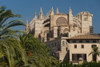 Spain, Majorca, Palm trees in Parc de la Mar leading to Cathedral; Palma PosterPrint - Item # VARDPI2295640