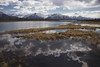 Scenic View Of Clouds Reflecting In Knob Lake Along The Glenn Highway, Southcentral, Alaska PosterPrint - Item # VARDPI2094262