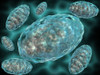 Microscopic view of Mitochondria Poster Print - Item # VARPSTSTK700110H