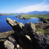 Clogherhead, Co Kerry, Dingle Peninsula, Ireland PosterPrint - Item # VARDPI1802317